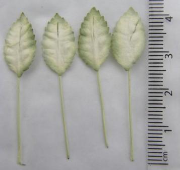 лист мал Бело-зеленый ,15 х 25мм