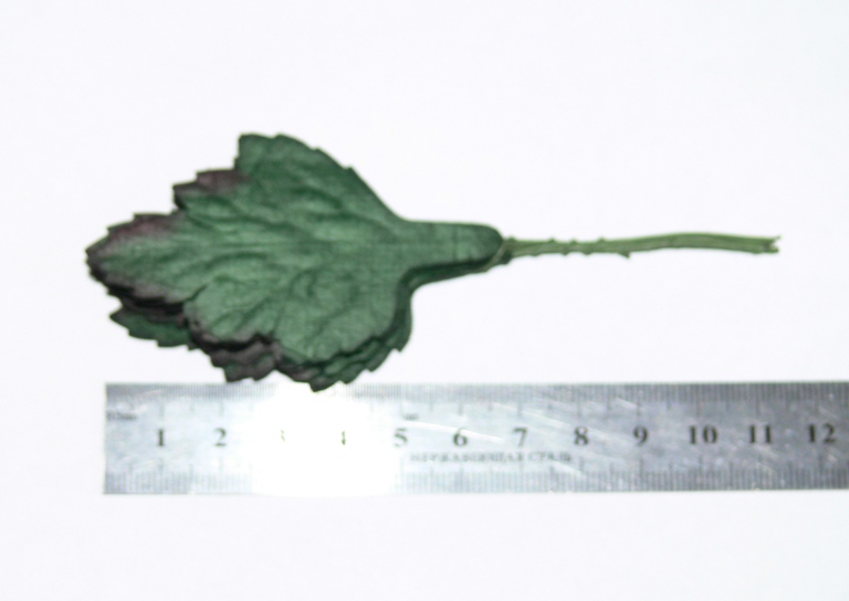 листик 70ммх45мм лист хризантемы  зеленый