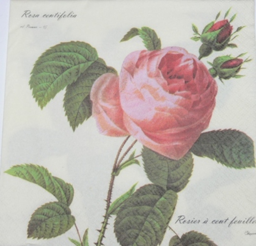 833 салфетка "Роза sentifolia"