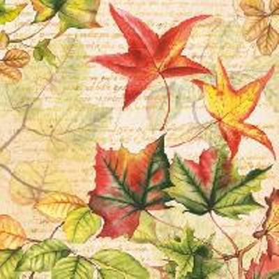 531 салфетка  осенние листьтя 