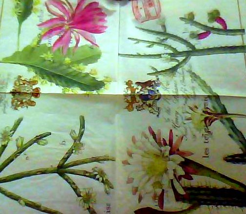 822 салфетка Цветущие кактусы