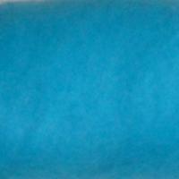 6014 новозеландський кардочес блакитна  бірюза